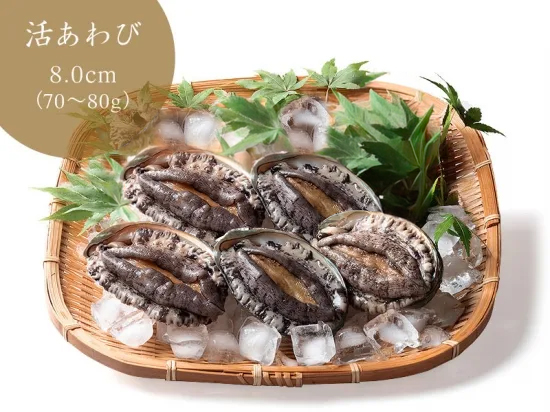 活あわび（8cmサイズ 5個セット）