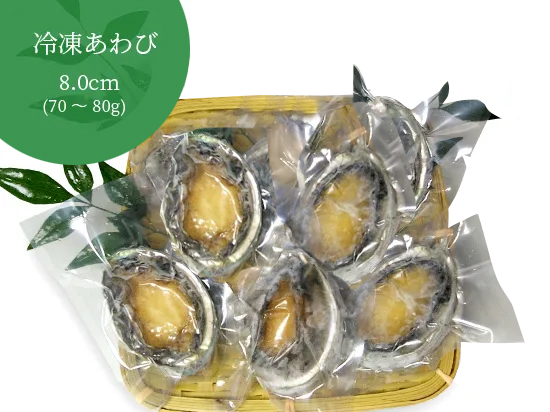 冷凍あわび（8cmサイズ  5個セット）