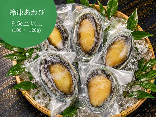 冷凍あわび（9.5cm以上  5個セット）